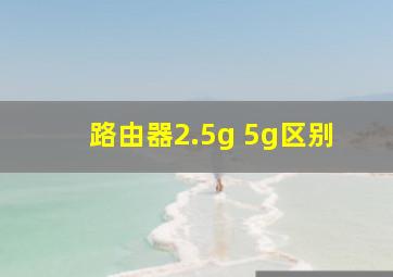 路由器2.5g 5g区别